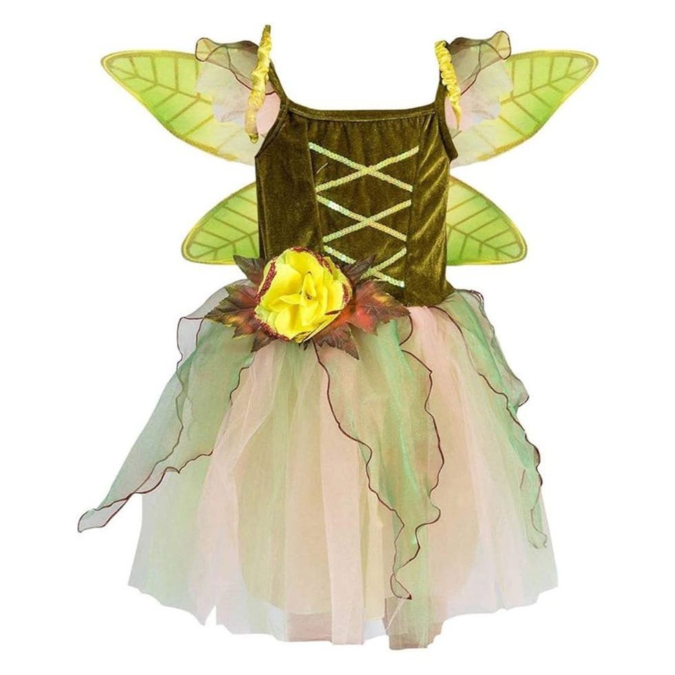 Fairy Costume Fairy Costume