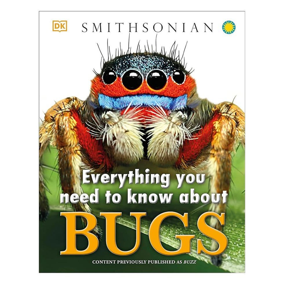 Everything You Need To Know About Bugs Everything You Need To Know About Bugs