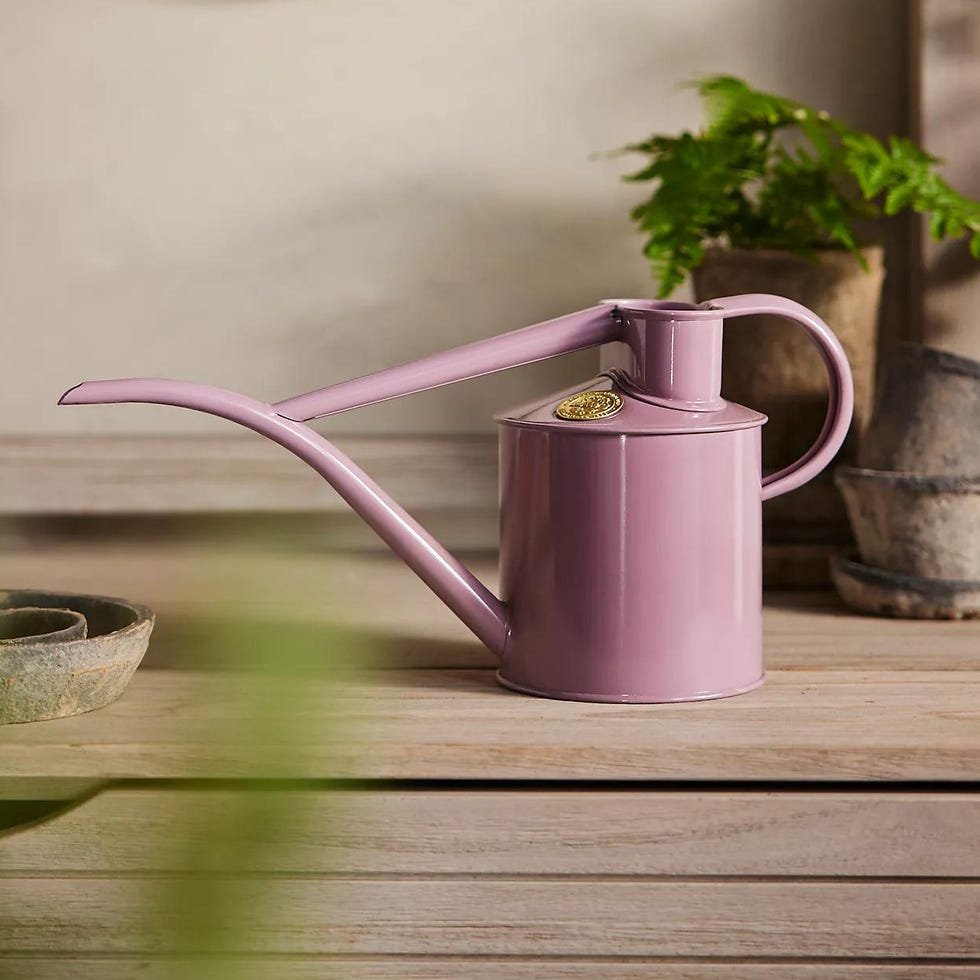 Lilac Watering Can