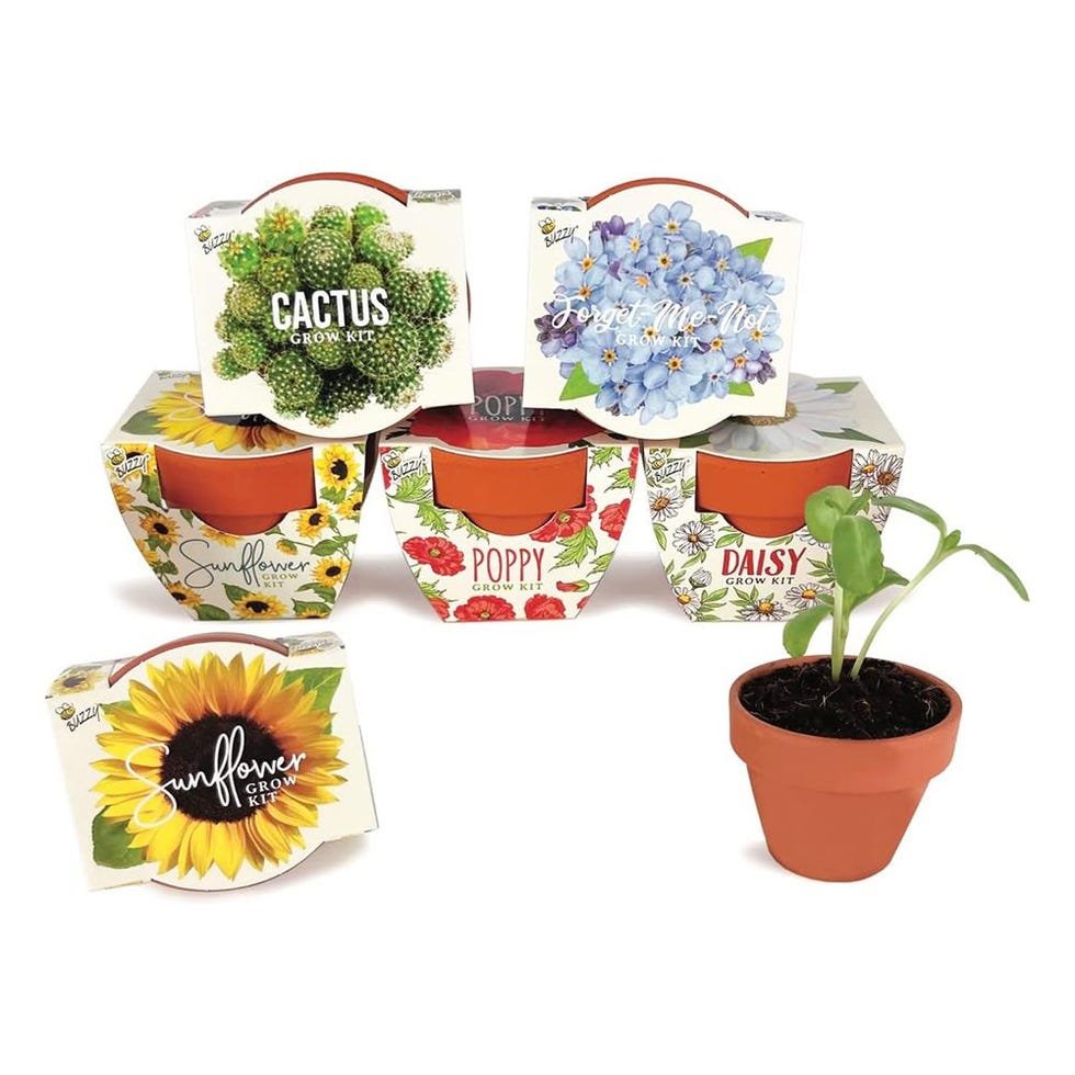 Terracotta Mini Grow Pots