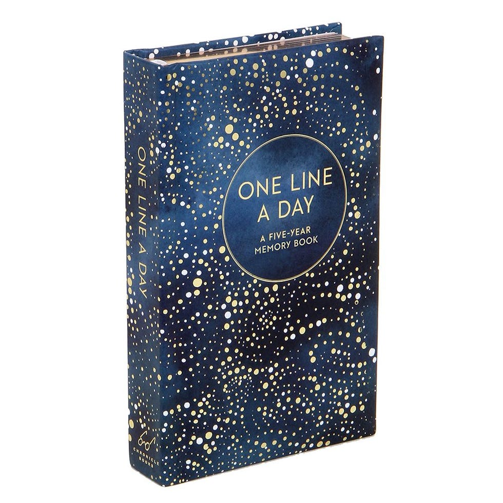 One Line a Day Journal