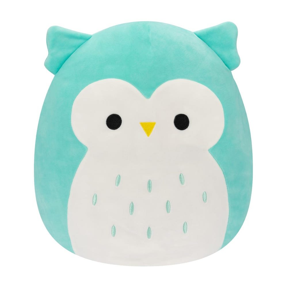 Winston The Owl