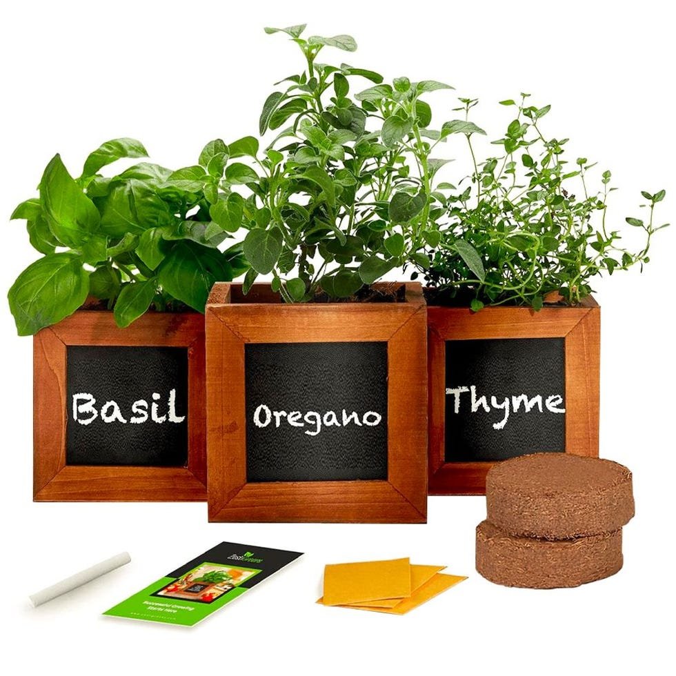 Indoor Herb Garden Kit