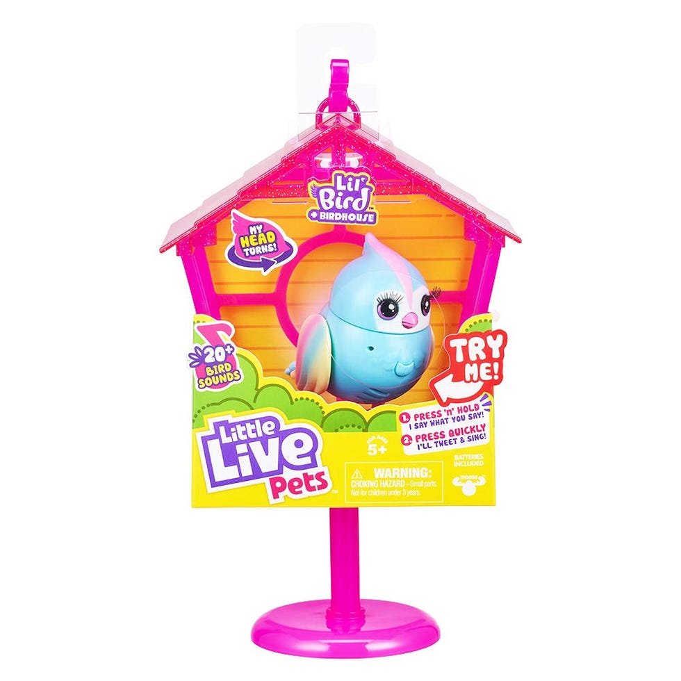 Lil’ Bird and Bird House