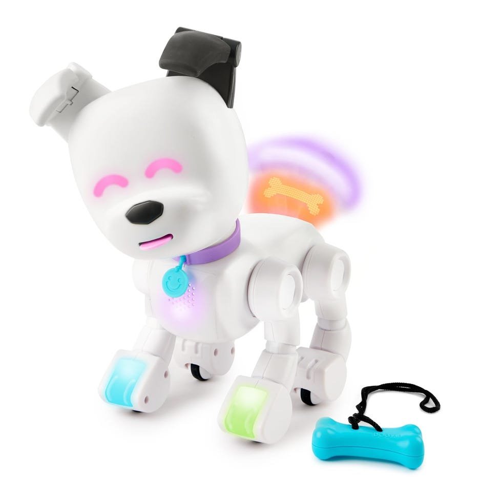 Interactive Robot Dog