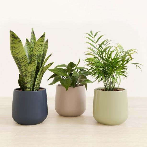 Emerald Trinity Planters