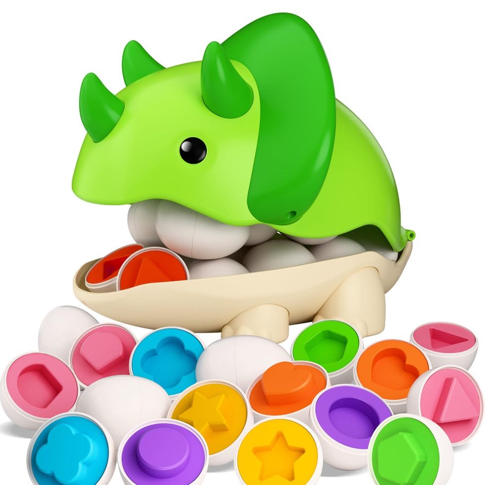 Dinosaur Matching Egg Toy