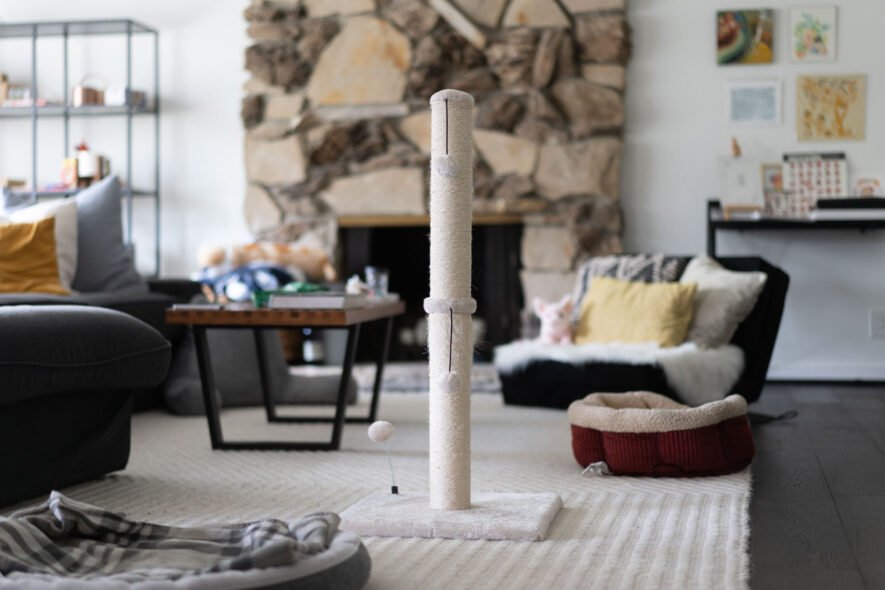 mecool-tall-scratching-post-885x590-1 Mecool - tall cat scratching post