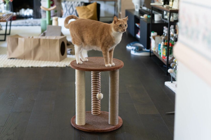 petmaker-3-post-scratcher-885x590-1 Petmaker - 3-post scratcher